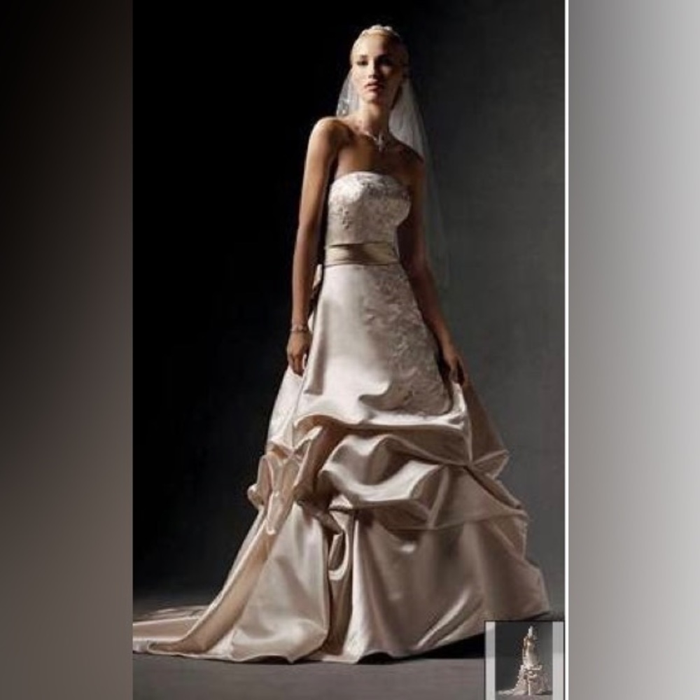 David’s Bridal Oleg Cassini Champagne Size 10 wedding dress. Never worn, w/tags.